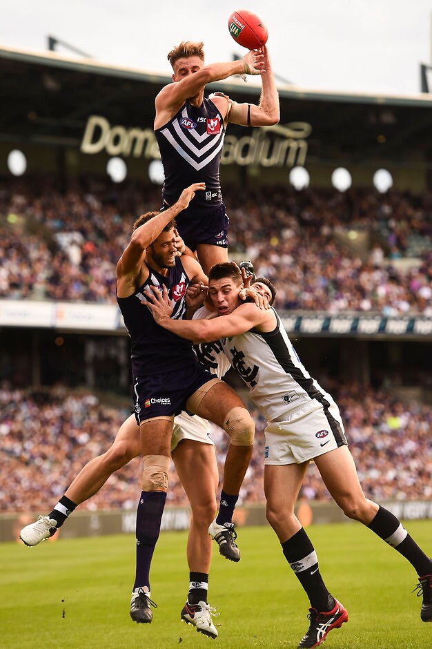 AFL 2016 Rd 05 - Fremantle v Carlton PERTH, AUSTRALIA - APRIL 24: Hayden Crozier of the Dockers flies for a mark during the 2016 AFL Round 05 match between the Fremantle Dockers and the Carlton Blues at Domain Stadium, Perth on April 24, 2016. (Photo by Daniel Carson/AFL Media)